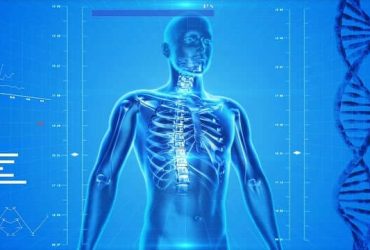 Parte do corpo com z 9 Parte do corpo