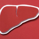16-minHealthScientists-treat-liver-outside-the-body-for-3-days
