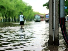 que doenças podem chegar com as chuvas? 3 1654263554_8-minHealthFloods-what-diseases-can-arrive-with-the-rains