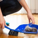 1654380672 9 minHealthIs it true that house dust is made of