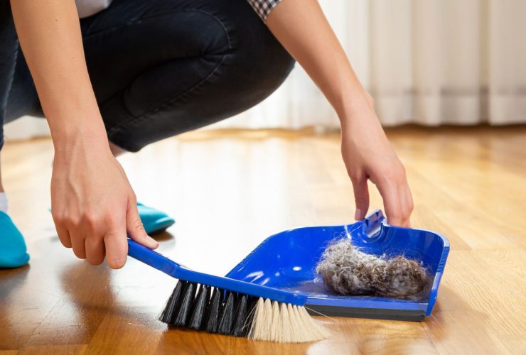 1654380672 9 minHealthIs it true that house dust is made of