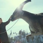 1654724541_10-minScienceCould-dinosaurs-survive-todays-world-like-in-Jurassic-World