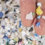 Accumulation of microplastics on the ocean floor triples in two