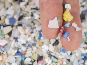 Accumulation of microplastics on the ocean floor triples in two