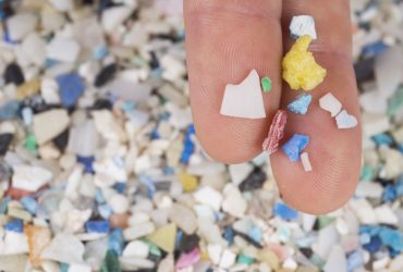 Acúmulo de microplásticos no fundo do oceano triplica em duas décadas 2 Accumulation of microplastics on the ocean floor triples in two