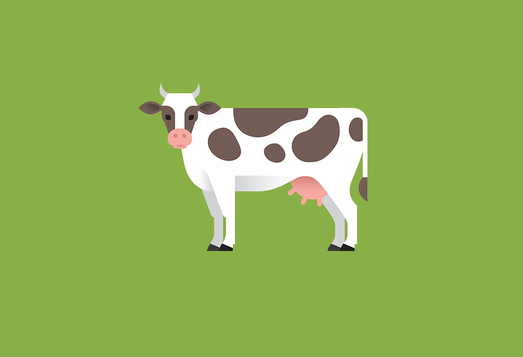 Cow