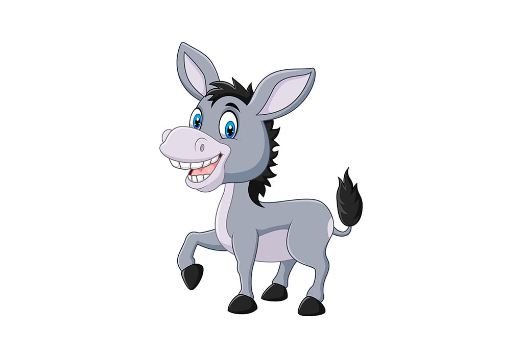 Donkey