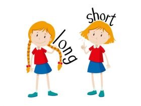 Long-And-Short-Concept-For-Preschoolers-696x476