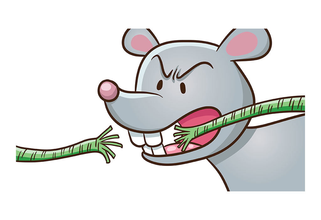 Mouse-Biting-The-Rope