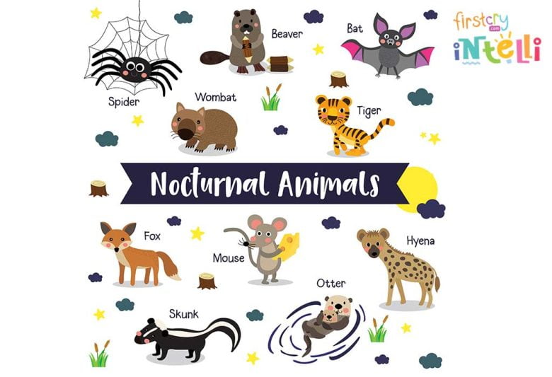Ensinando seus filhos sobre animais noturnos - Cetro Concursos