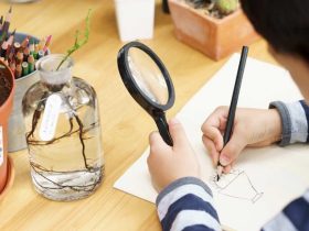 Observational-Drawing-For-Preschooler-and-Kids-To-Improve-Drawing-Skills-696x476