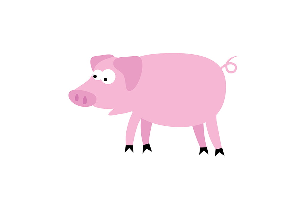 Pig