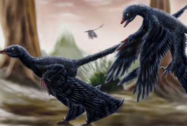 Scientists-discover-first-fossil-of-a-mammal-eaten-by-a