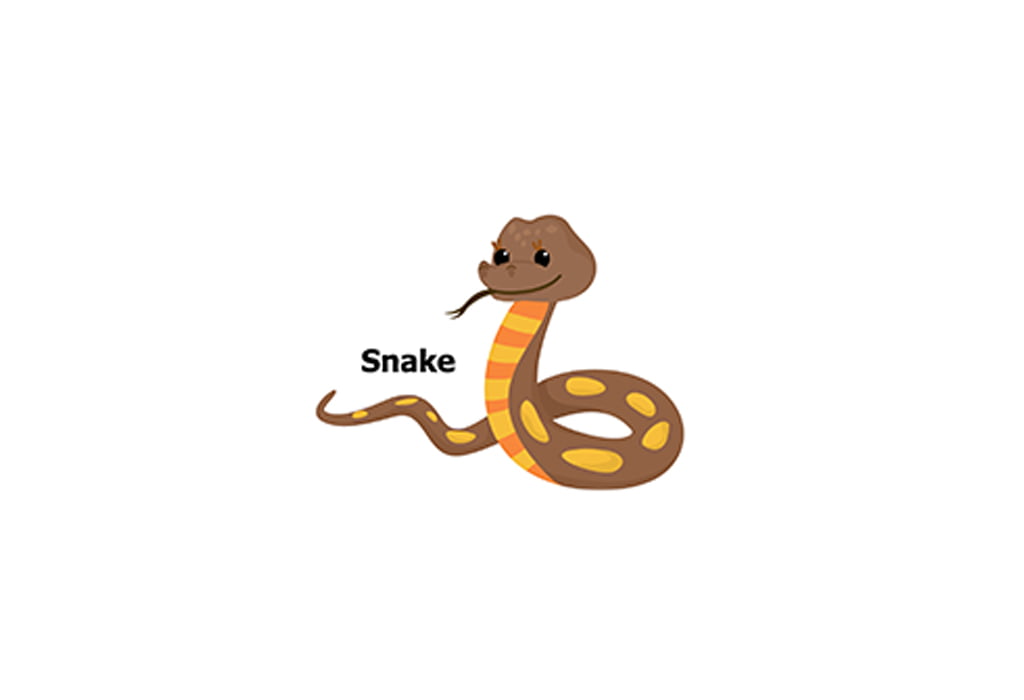 Snake