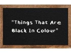 Things-That-Are-Black-In-Colour-696x476