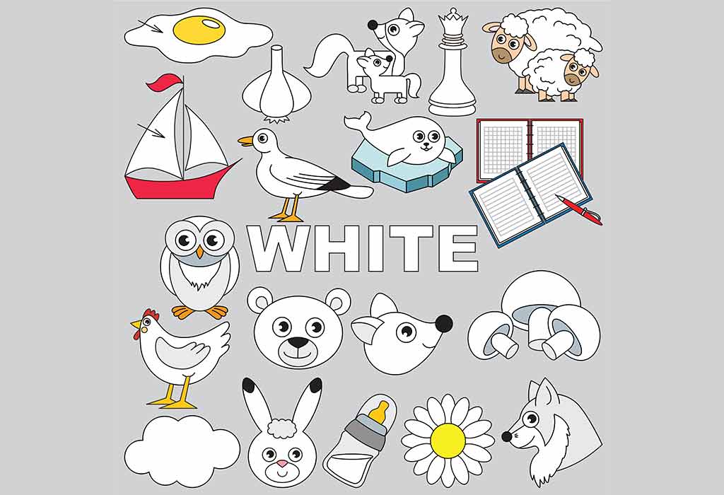 Coisas que são brancas para crianças 26 Things-That-Are-White