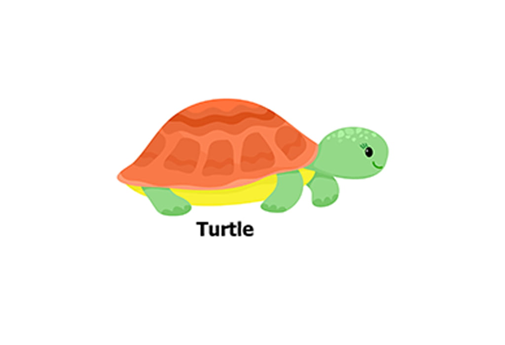 Turtle-1