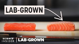 Worlds-largest-cultured-meat-plant-to-be-built-in-the