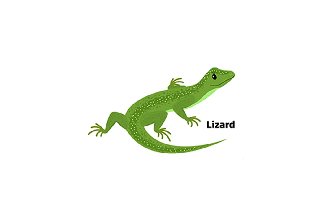 Nomes de répteis para crianças 28 Worm-Lizard