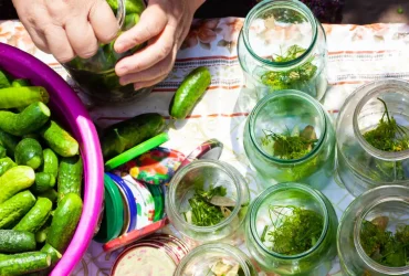 Tudo o que você precisa para começar a enlatar picles, geléias e muito mais 7 18b65f53b06526ad347c66a3849c4c3a