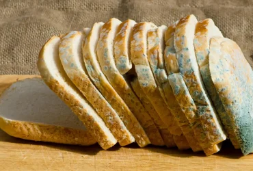Os itens do 'teste de nojo de comida' que na verdade não são seguros para comer 6 Pão de forma