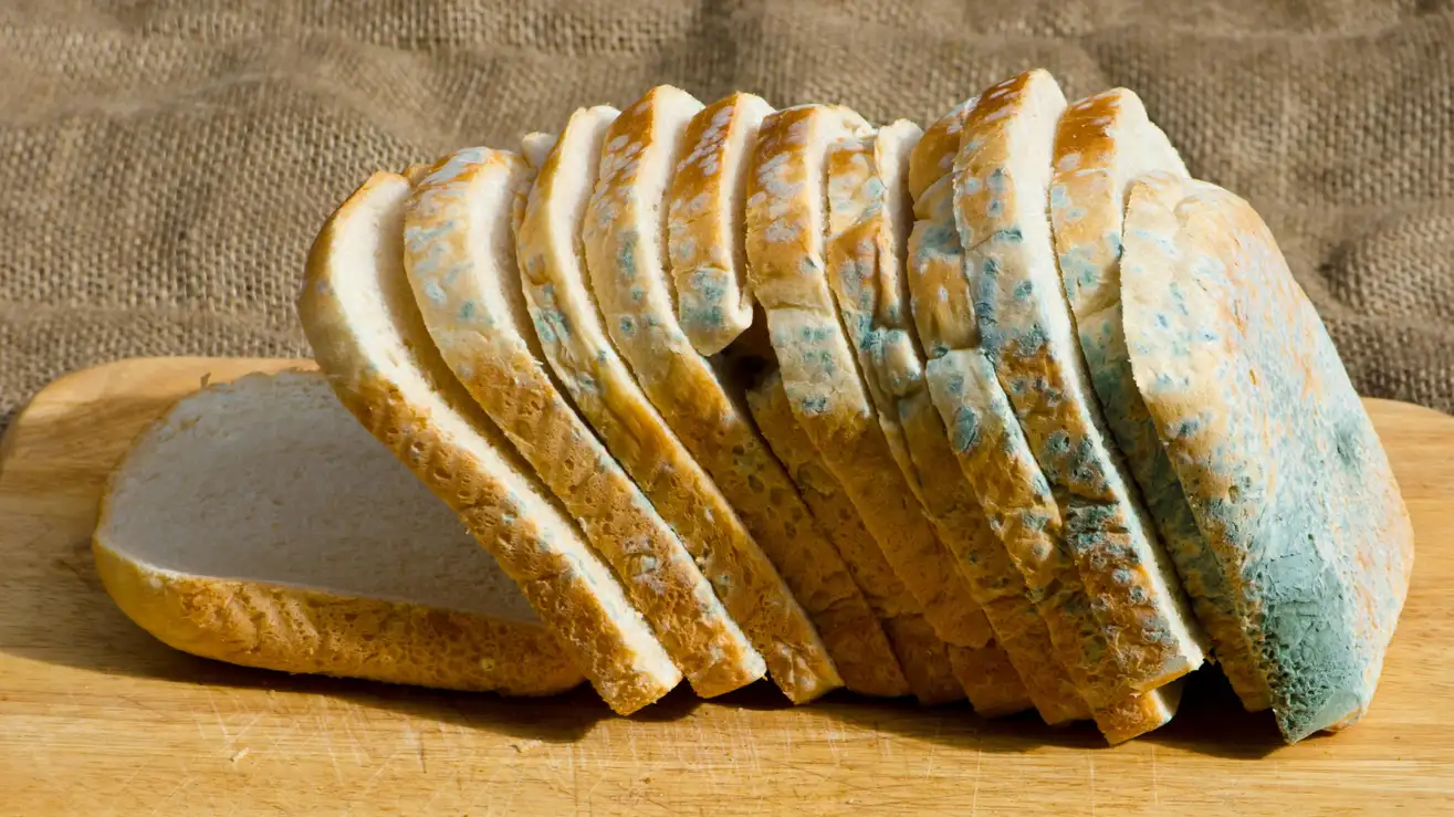 Pão de forma