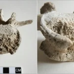 Genoma completo do homem morto em Pompeia