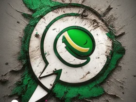 WhatsApp 3.3.10