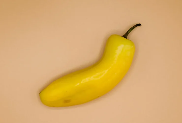 frenuloplastia