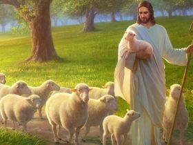 sonhar com pastor