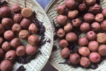 Duas maneiras de fazer umeboshi, a ameixa em conserva que você vai querer adicionar a tudo 5 umeboshi a ameixa