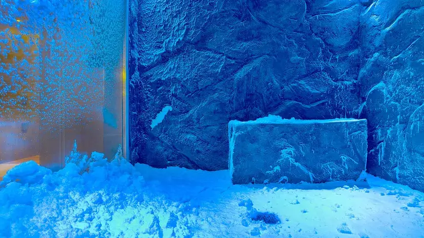 Dar um choque frio em seu corpo depois de uma sauna é uma boa ideia? 26 Benefícios para a saúde da sauna quente, mergulho frio