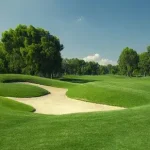 Grama Zoysia