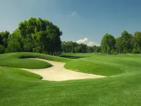 A grama é sempre mais verde quando é Zoysia 9 Grama Zoysia