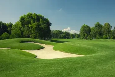 A grama é sempre mais verde quando é Zoysia 4 Grama Zoysia