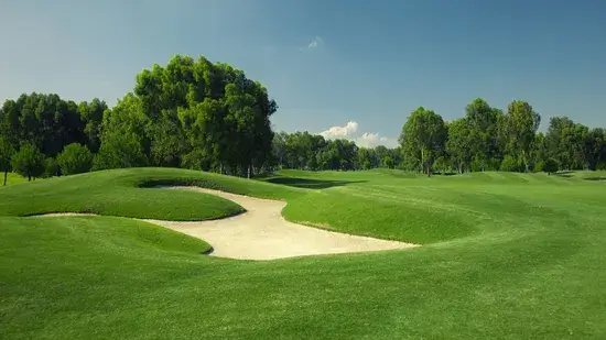 Grama Zoysia