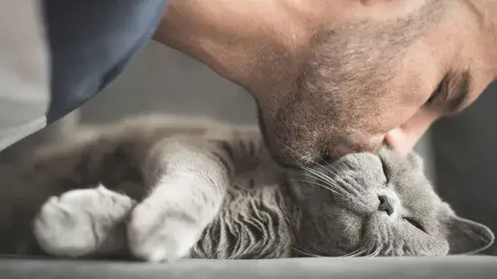 Piscar lentamente para o seu gato realmente une vocês dois