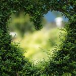 Status e citações do primeiro amor – Breve status sobre o primeiro amor