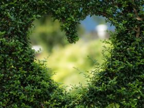 Status e citações do primeiro amor – Breve status sobre o primeiro amor