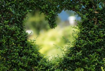 Status e citações do primeiro amor – Breve status sobre o primeiro amor 1 Status e citações do primeiro amor – Breve status sobre o primeiro amor