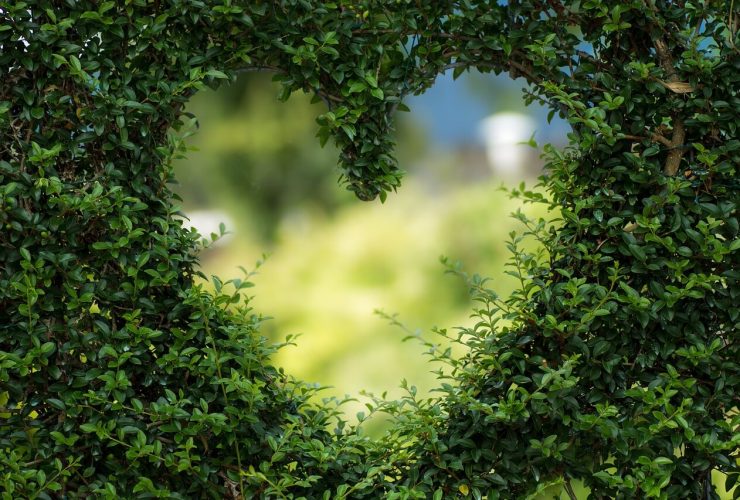 Status e citações do primeiro amor – Breve status sobre o primeiro amor