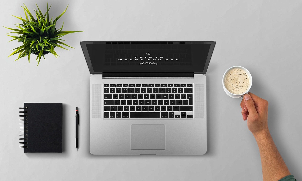 Como acessar o sifes web