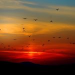 Melhor Frases do pôr do sol, legendas e trocadilhos