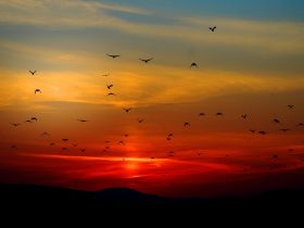 Melhor Frases do pôr do sol, legendas e trocadilhos