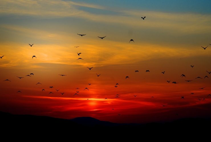 Melhor Frases do pôr do sol, legendas e trocadilhos
