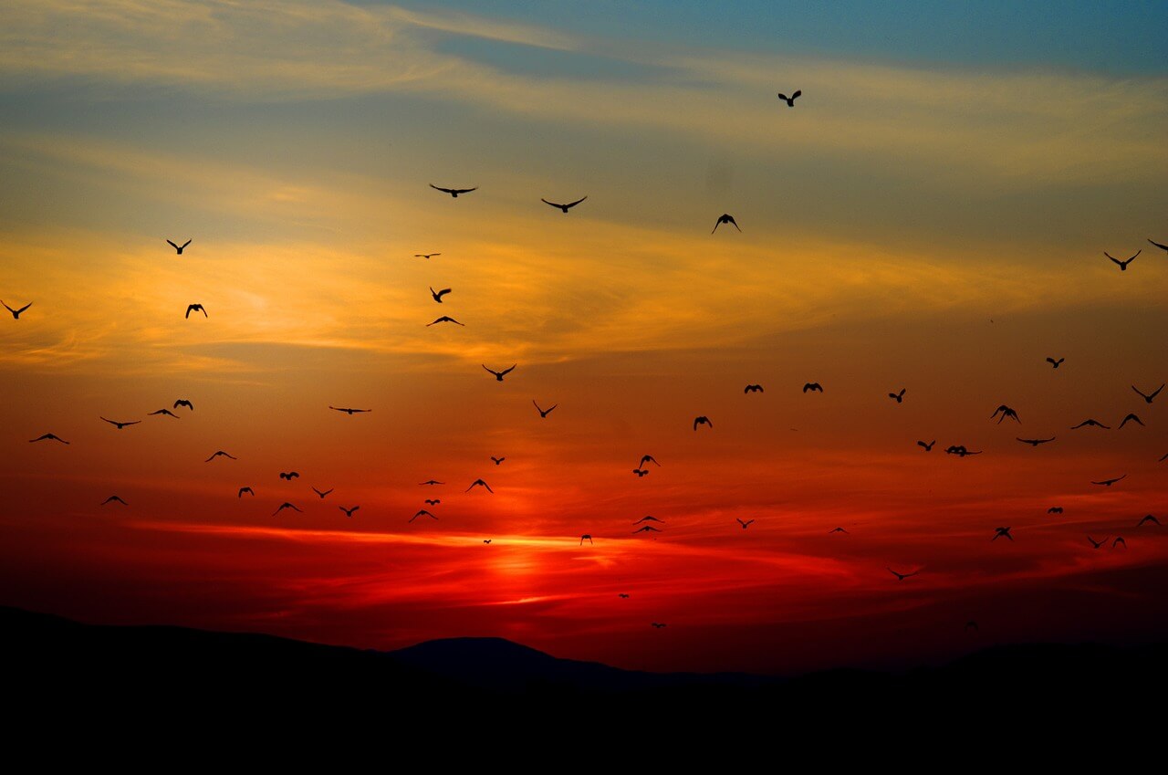 Melhor Frases do pôr do sol, legendas e trocadilhos