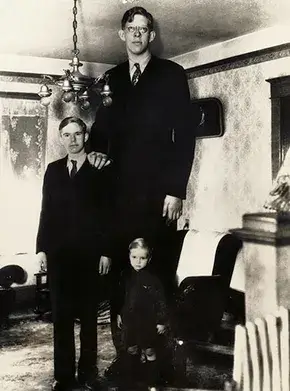 Com 8 pés e 11 polegadas, Robert Wadlow era o homem mais alto do mundo 26 Wadlow, 18 anos, medindo 2,5 metros