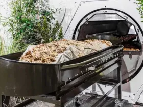 a opção de enterro mais verde