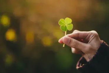 Por que um trevo de quatro folhas tem sorte? 10 revo de quatro folhas tem sorte
