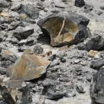 Killing Stone